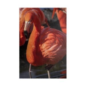 Flamingo Glare (110, 252, 520, 1014-piece)