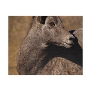 Custer Park Ram (110, 252, 520, 1014-piece)