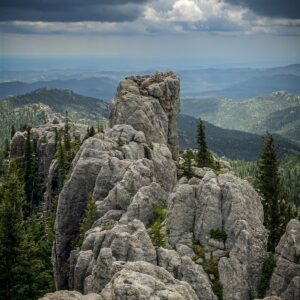Tall weathered granite spires with pines growing from the rock along the Needles in the Black Hills.