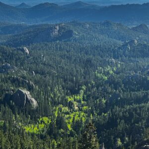 Looking out over a forest of ponderosa pines and granite outcrops toward blue ridges in the Black Hills.